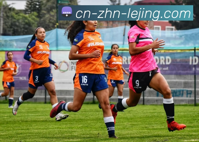 乐竞体育官网发展历程